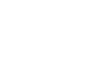 MSV Logo